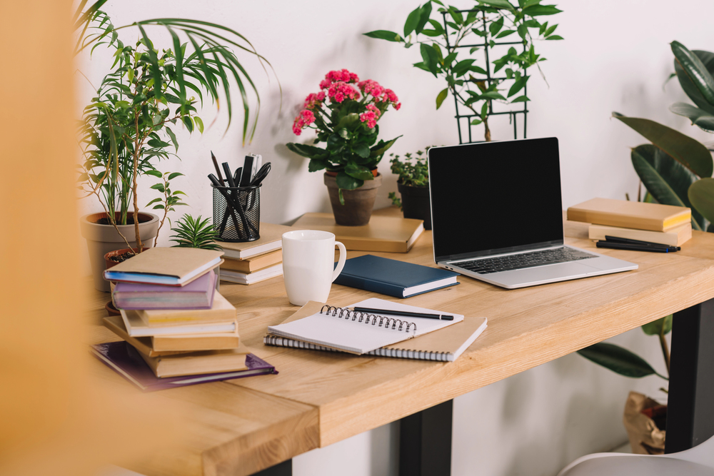 Bureau moderne avec plantes